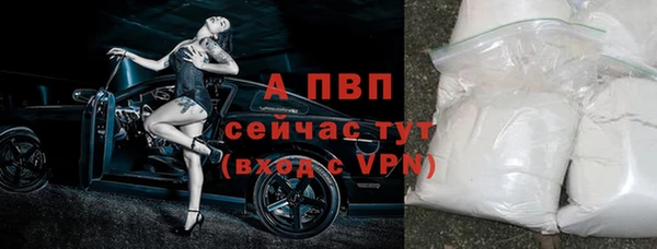 эйфоретик Корсаков