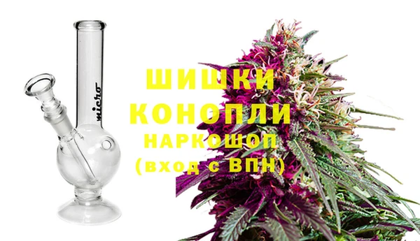 эйфоретик Корсаков