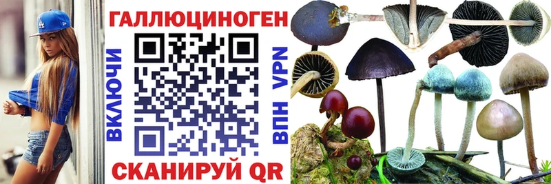 Псилоцибиновые грибы MAGIC MUSHROOMS  цены   Ува 